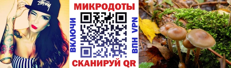 Псилоцибиновые грибы мухоморы  mega ссылки  Городец 
